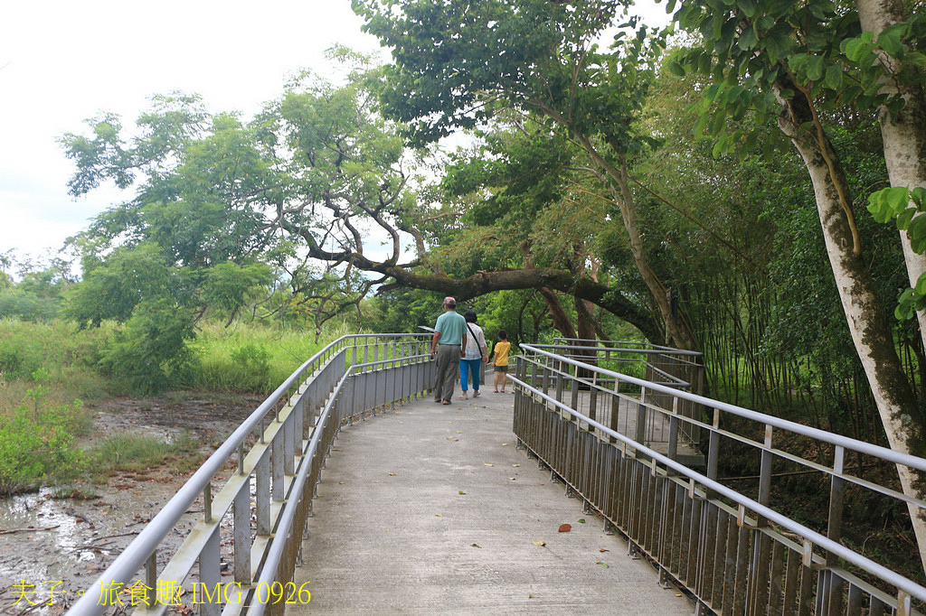 富里旅遊亮點 2025縱谷大地藝術季-漂鳥197 X 羅山大
