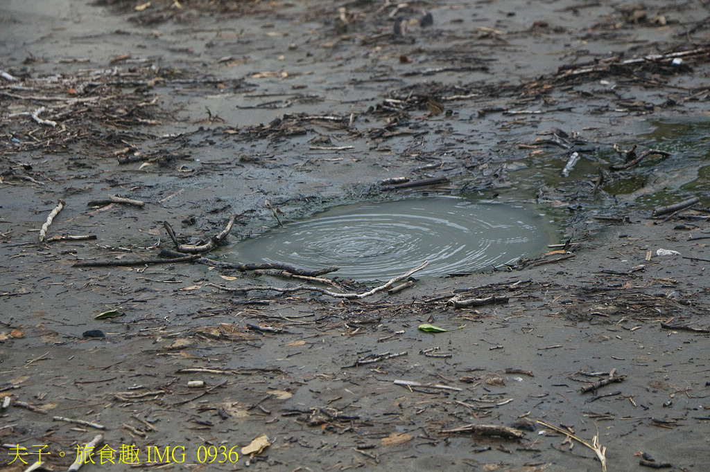 富里旅遊亮點 2025縱谷大地藝術季-漂鳥197 X 羅山大