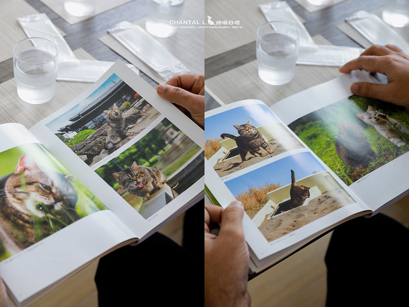 日本北海道公路之旅必訪苫小牧美食，品嚐療癒系貓咪拉花咖啡與冠軍甜點。