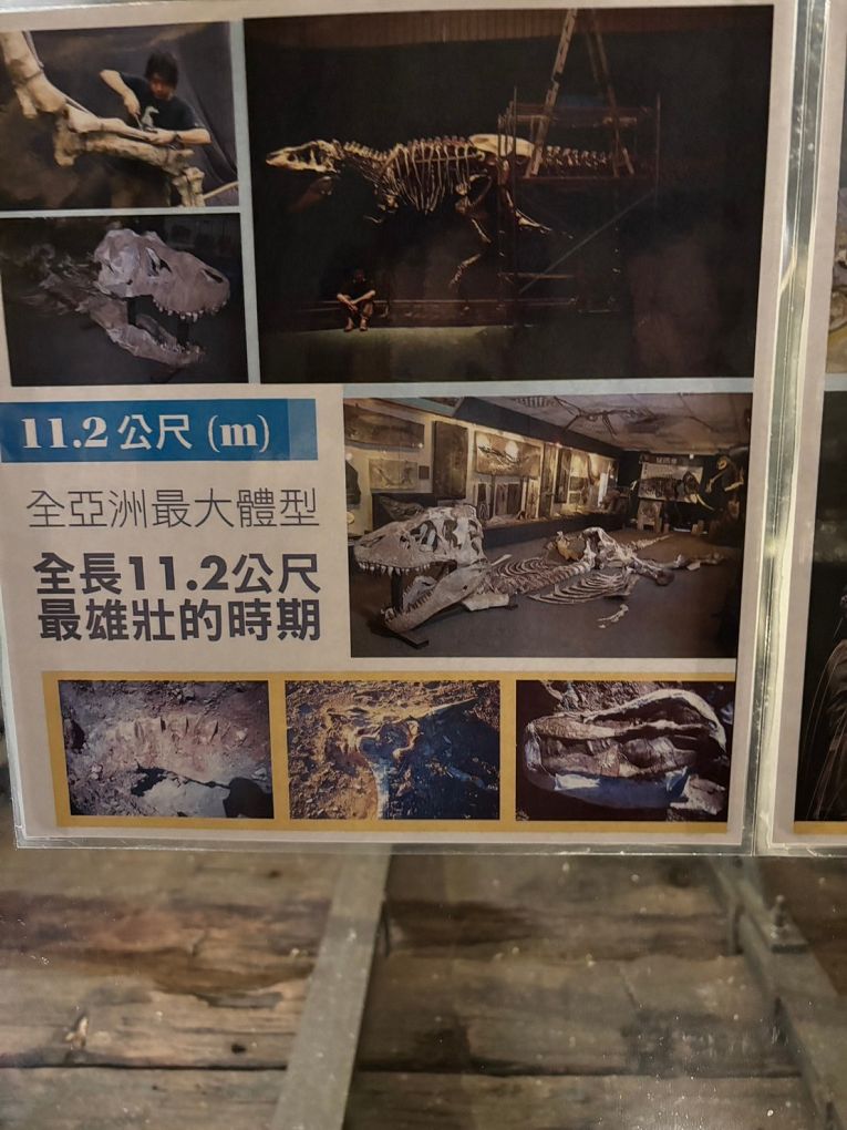 宜蘭Robert Y廢墟暴龍館！實境解謎暴龍的魔法，揭開遠古恐龍化石之謎！