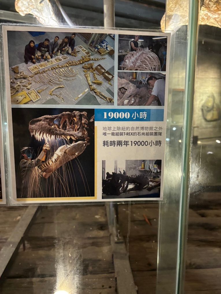 宜蘭Robert Y廢墟暴龍館！實境解謎暴龍的魔法，揭開遠古恐龍化石之謎！