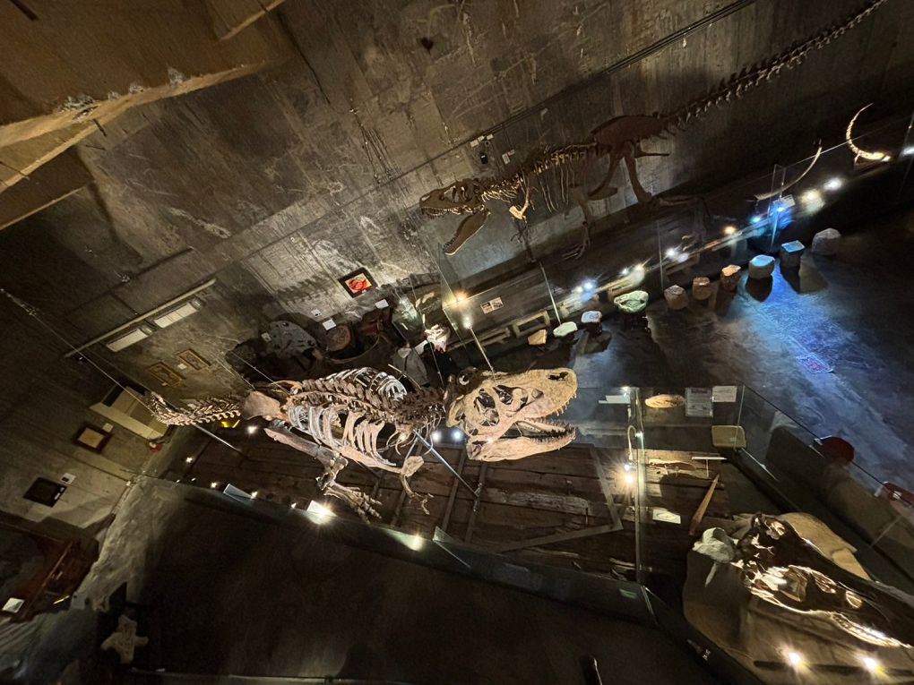 宜蘭Robert Y廢墟暴龍館！實境解謎暴龍的魔法，揭開遠古恐龍化石之謎！