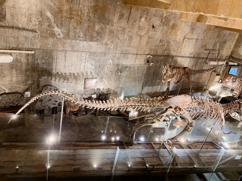 宜蘭Robert Y廢墟暴龍館！實境解謎暴龍的魔法，揭開遠古恐龍化石之謎！