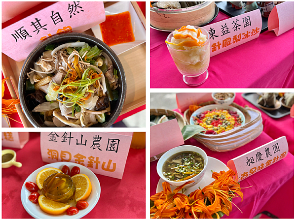 【台東一日遊景點￭太麻里金針花】2025南迴慢活節-金針山花