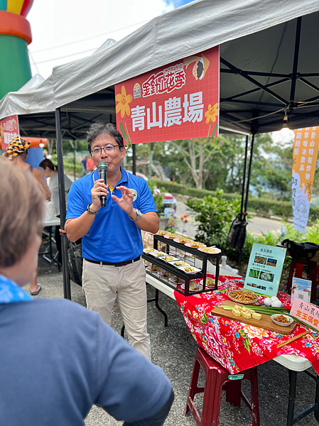 【台東一日遊景點￭太麻里金針花】2025南迴慢活節-金針山花