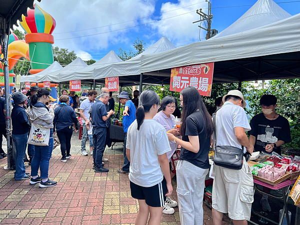 【台東一日遊景點￭太麻里金針花】2025南迴慢活節-金針山花