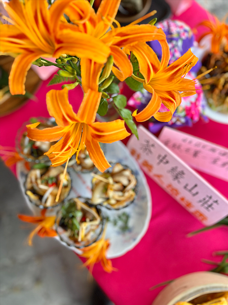 【台東一日遊景點￭太麻里金針花】2025南迴慢活節-金針山花