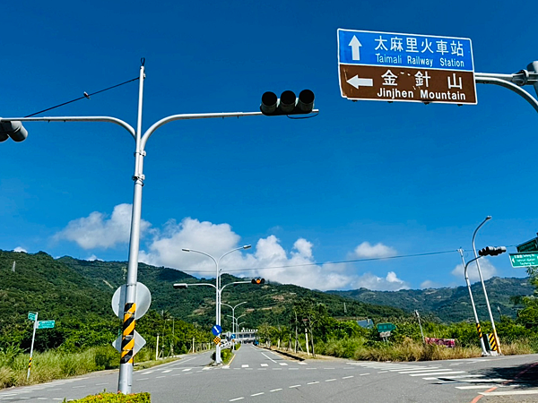 【台東一日遊景點￭太麻里金針花】2025南迴慢活節-金針山花