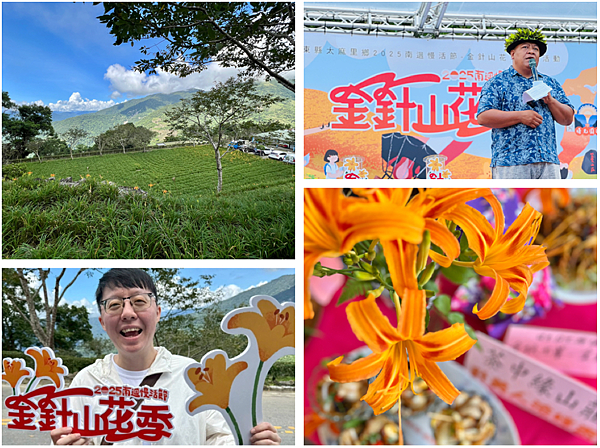 【台東一日遊景點￭太麻里金針花】2025南迴慢活節-金針山花