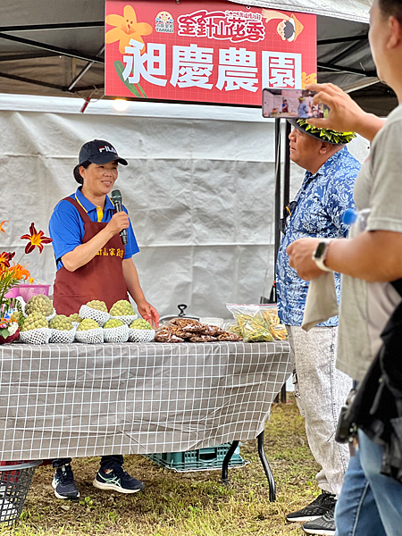 【台東一日遊景點￭太麻里金針花】2025南迴慢活節-金針山花