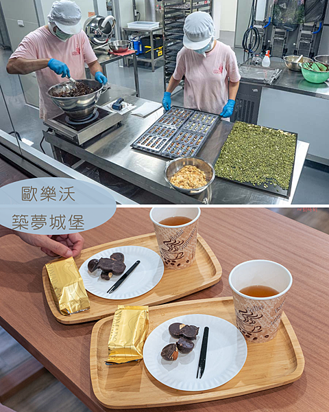 這裡真的不是迪士尼！被罵到臭頭卻又爆滿的台灣新地標在嘉義！