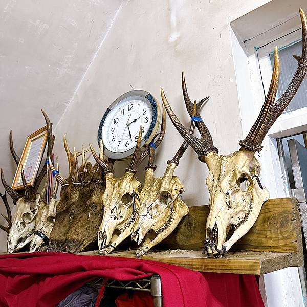 高雄六龜山林秘境,茂林最深處多納部落山嵐繚繞,高鐵就能到!