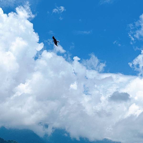 高雄六龜山林秘境,茂林最深處多納部落山嵐繚繞,高鐵就能到!