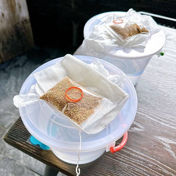 高雄六龜山林秘境,茂林最深處多納部落山嵐繚繞,高鐵就能到!