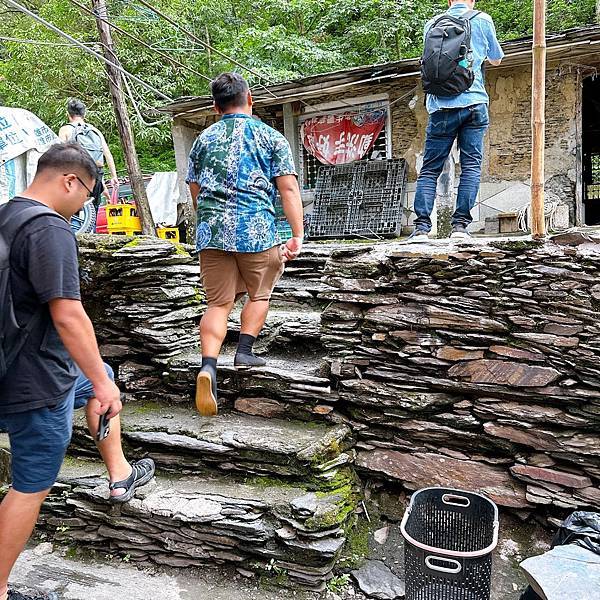 高雄六龜山林秘境,茂林最深處多納部落山嵐繚繞,高鐵就能到!