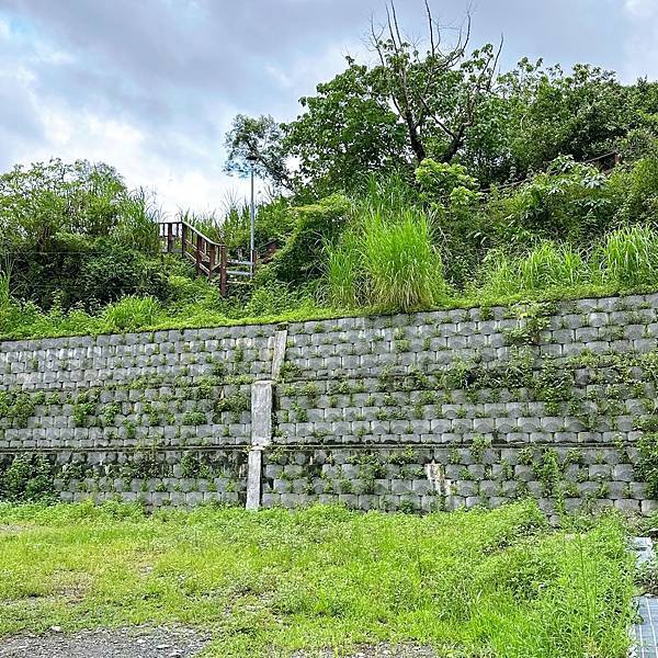 高雄六龜山林秘境,茂林最深處多納部落山嵐繚繞,高鐵就能到!