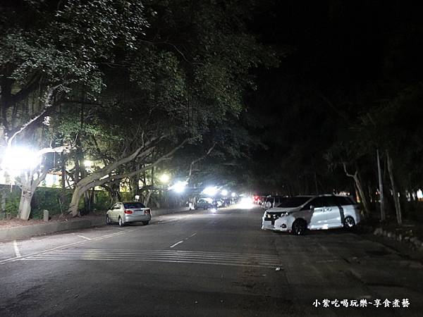 免費停車場-2025通霄沙雕藝術節 (3).jpg