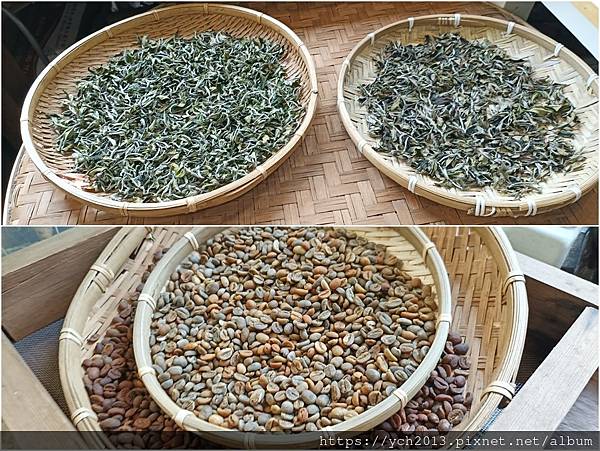 桃園龍潭景點推薦／和窯文創園區清幽賞茶園、走森林步道