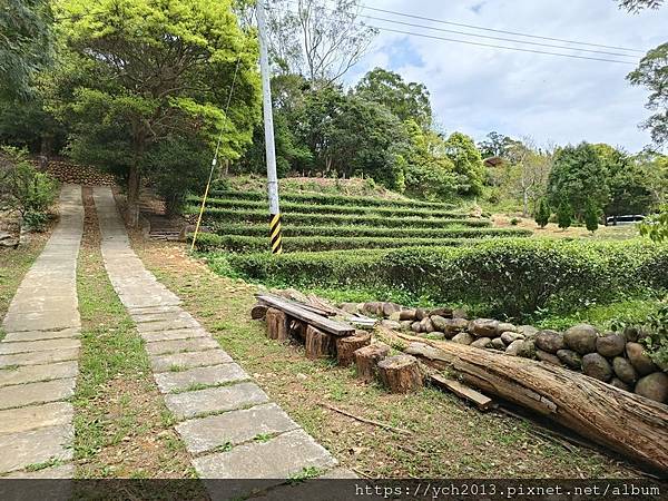桃園龍潭景點推薦／和窯文創園區清幽賞茶園、走森林步道