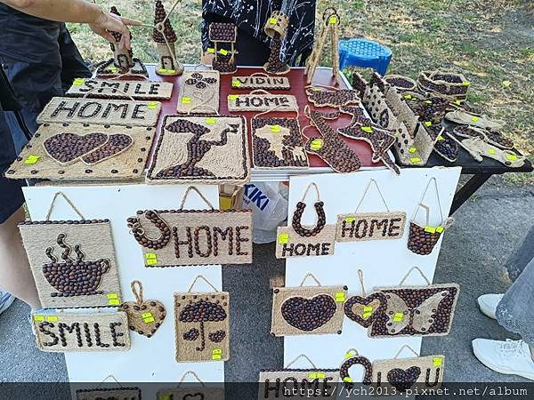 進入保加利亞邊界城鎮維丁，走逛多瑙河邊巴巴維達城堡