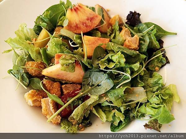 羅馬尼亞最後一晚歇腳處-克拉科瓦Ramada Plaza C