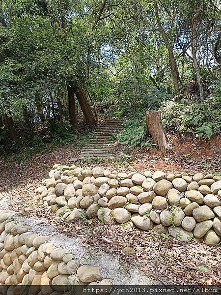 桃園龍潭景點推薦／和窯文創園區清幽賞茶園、走森林步道