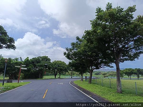 新北樹林山佳荷花池!夏日賞荷祕境,交通便利、鞦韆美拍,體驗荷葉效應~
