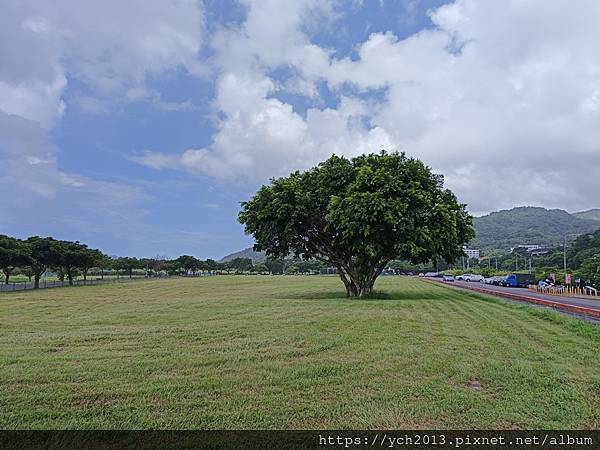 新北樹林山佳荷花池!夏日賞荷祕境,交通便利、鞦韆美拍,體驗荷葉效應~