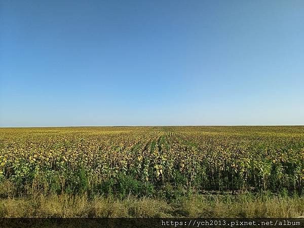 進入保加利亞邊界城鎮維丁，走逛多瑙河邊巴巴維達城堡