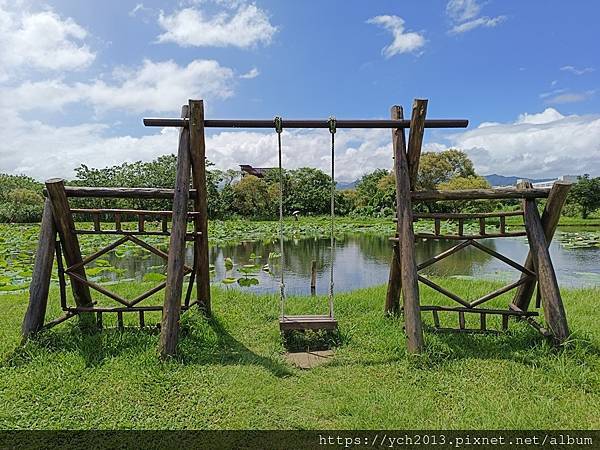 新北樹林山佳荷花池!夏日賞荷祕境,交通便利、鞦韆美拍,體驗荷葉效應~