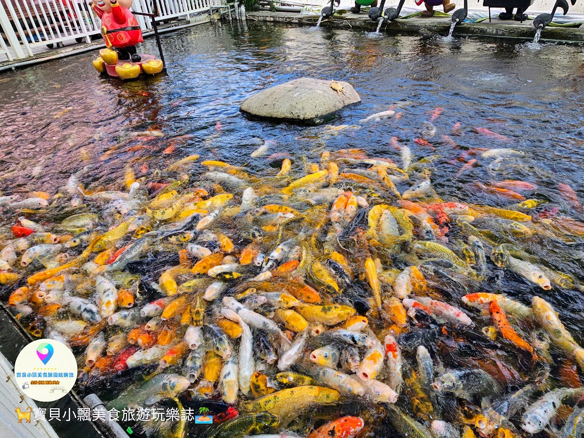嘉義縣三隻小豬觀光農場親子放電首選，動物種類豐富的童話主題樂園！