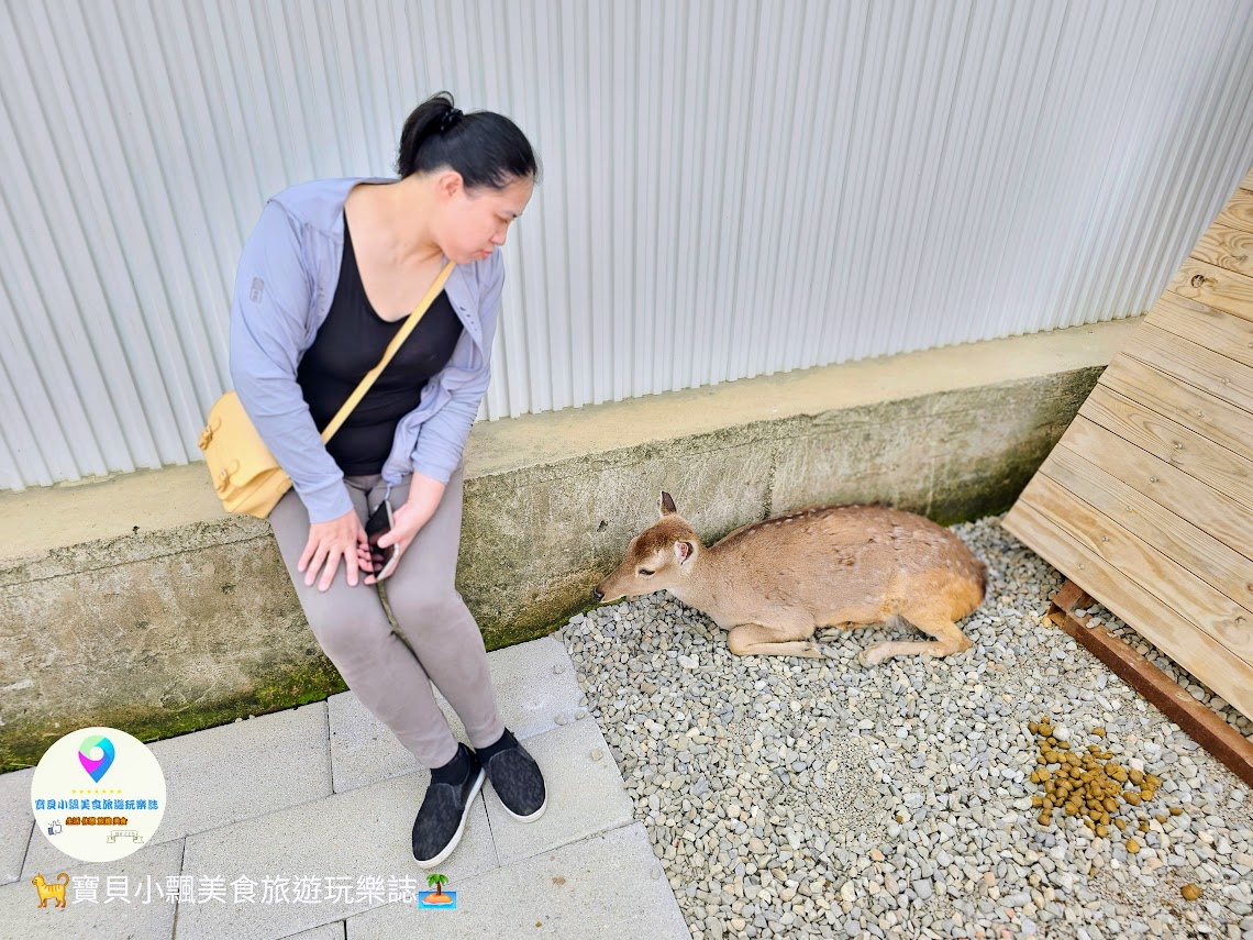 新竹香山廢物媽媽育兒農場親子互動樂園，寓教於樂的教育之旅！~