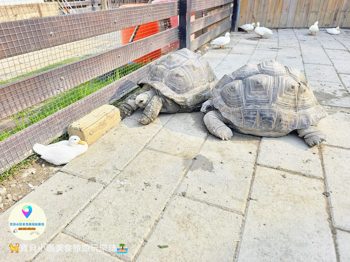 新竹香山廢物媽媽育兒農場親子互動樂園，寓教於樂的教育之旅！~