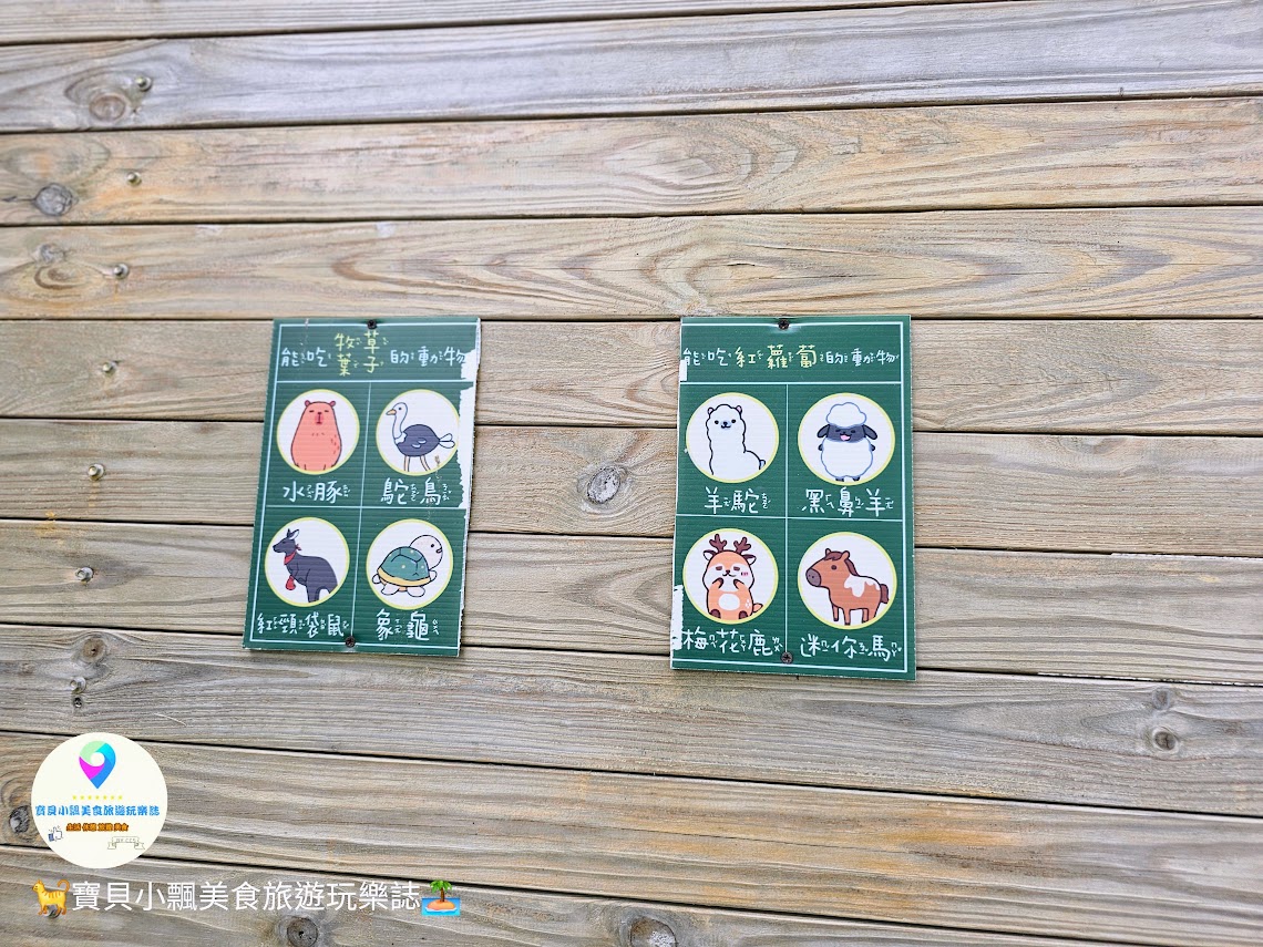 新竹香山廢物媽媽育兒農場親子互動樂園，寓教於樂的教育之旅！~