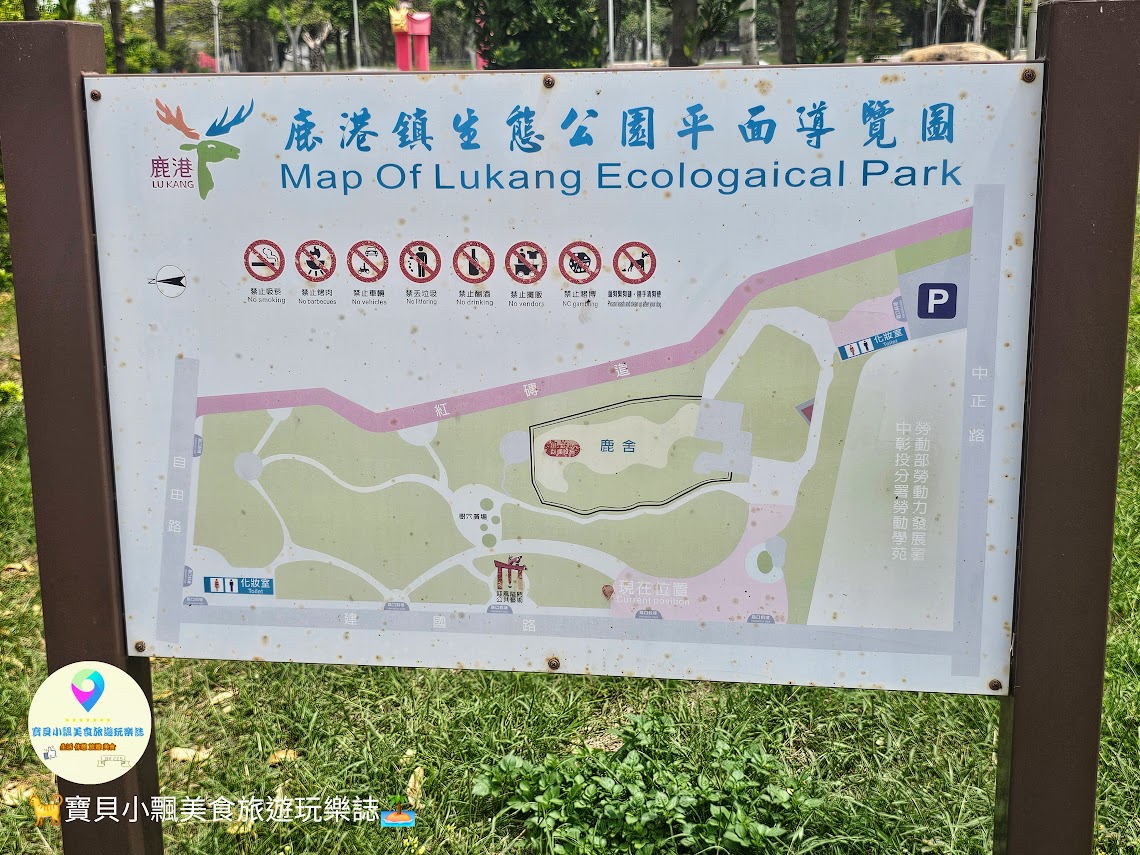 鹿港獨特景點推薦！免費觀賞梅花鹿，飯後漫步與大自然完美結合！