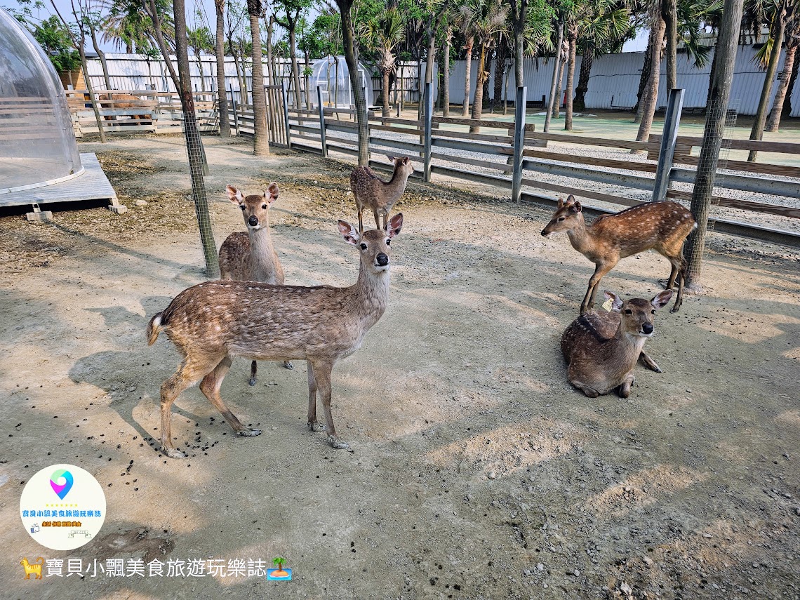 新竹香山廢物媽媽育兒農場親子互動樂園，寓教於樂的教育之旅！~