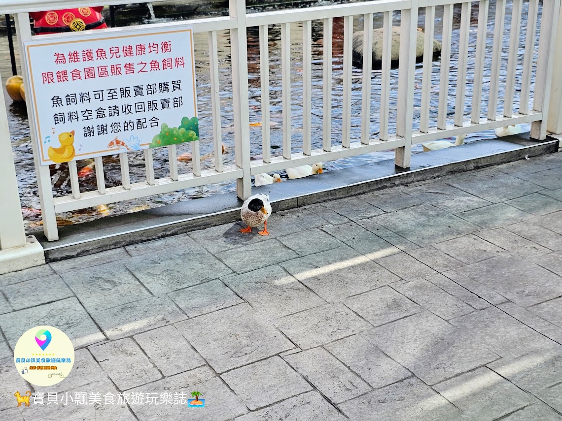 嘉義縣三隻小豬觀光農場親子放電首選，動物種類豐富的童話主題樂園！