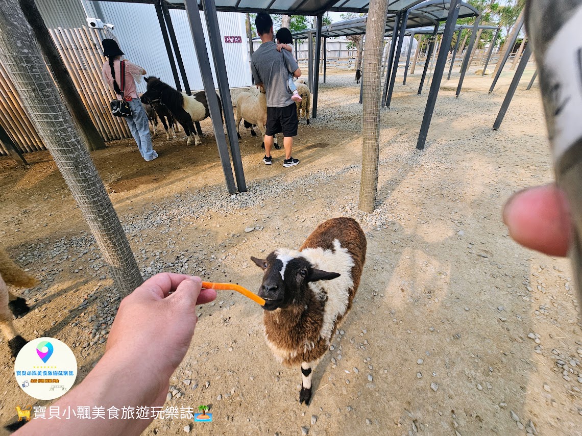 新竹香山廢物媽媽育兒農場親子互動樂園，寓教於樂的教育之旅！~