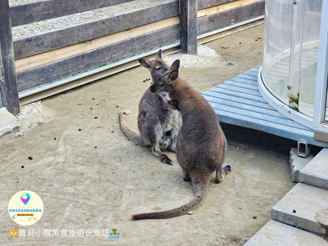 新竹香山廢物媽媽育兒農場親子互動樂園，寓教於樂的教育之旅！~