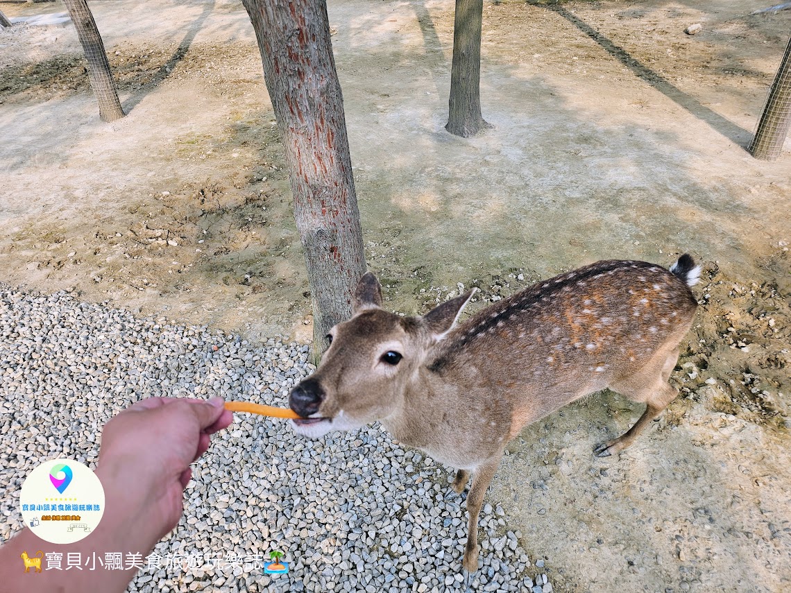 新竹香山廢物媽媽育兒農場親子互動樂園，寓教於樂的教育之旅！~