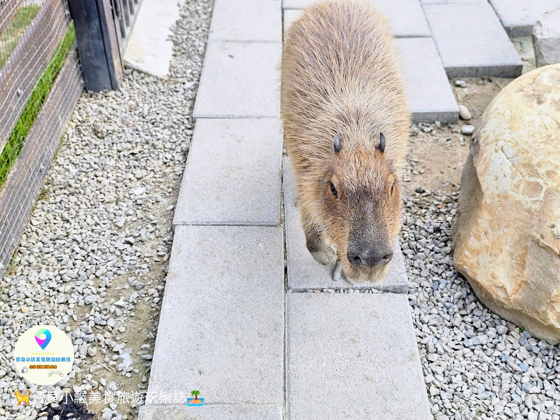 新竹香山廢物媽媽育兒農場親子互動樂園，寓教於樂的教育之旅！~
