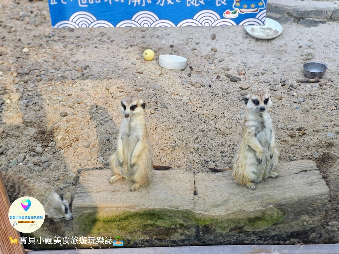 新竹香山廢物媽媽育兒農場親子互動樂園，寓教於樂的教育之旅！~