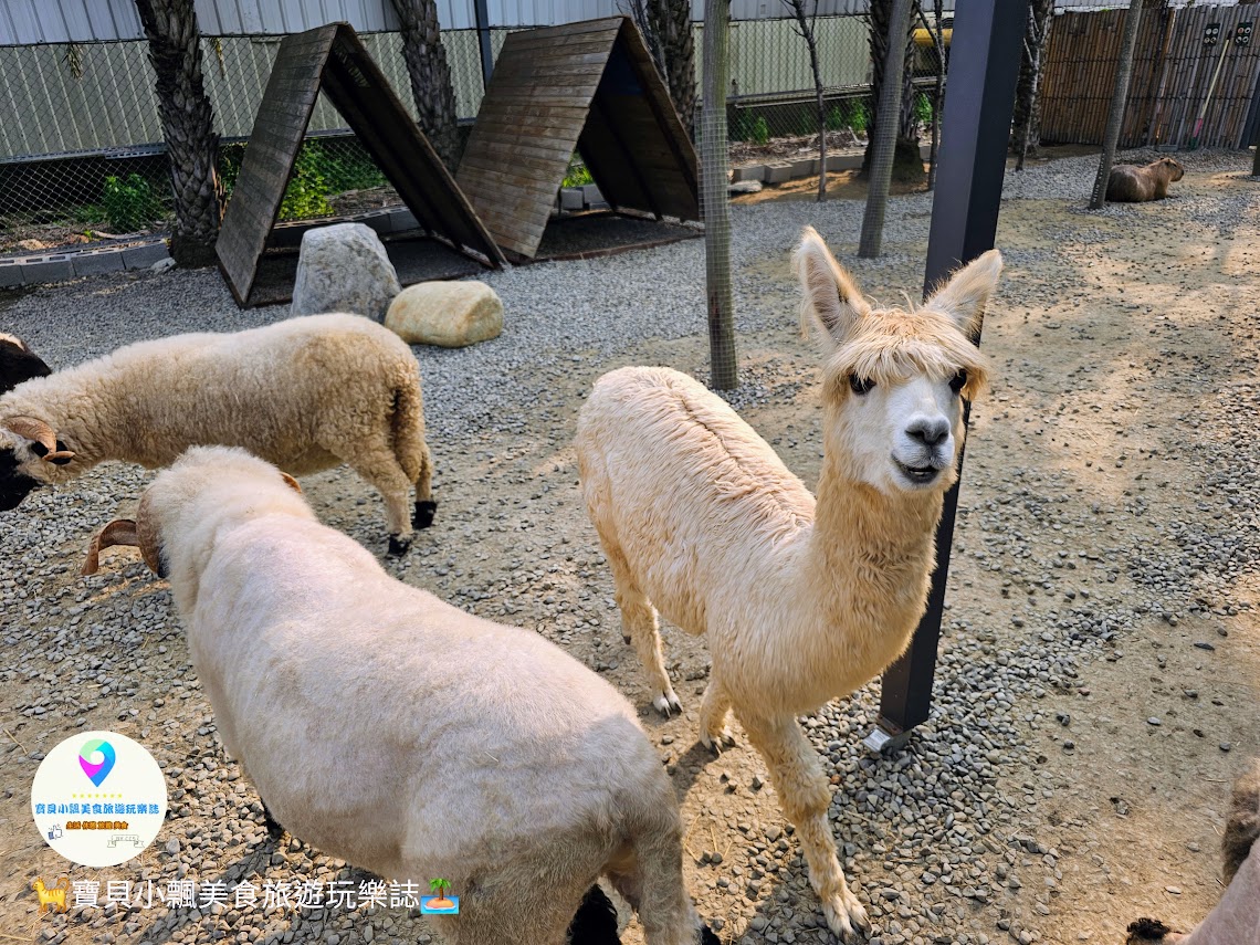 新竹香山廢物媽媽育兒農場親子互動樂園，寓教於樂的教育之旅！~