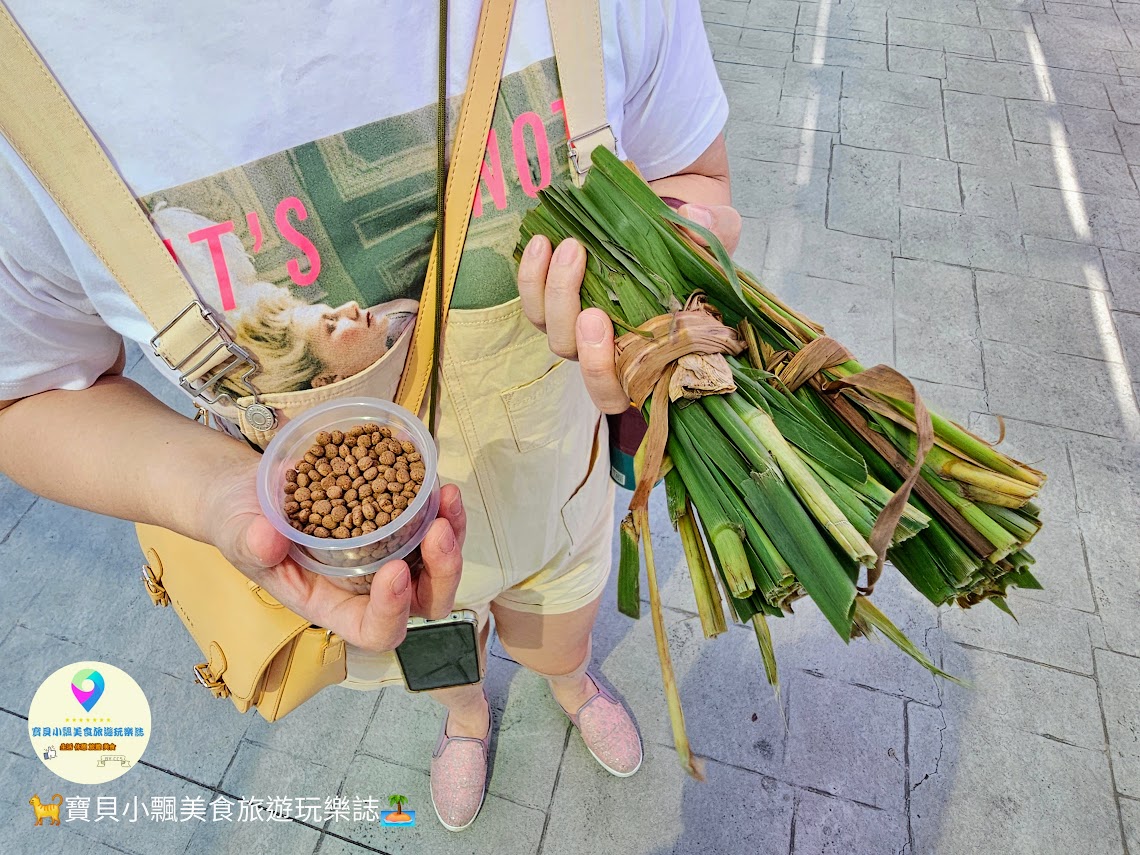 嘉義縣三隻小豬觀光農場親子放電首選，動物種類豐富的童話主題樂園！