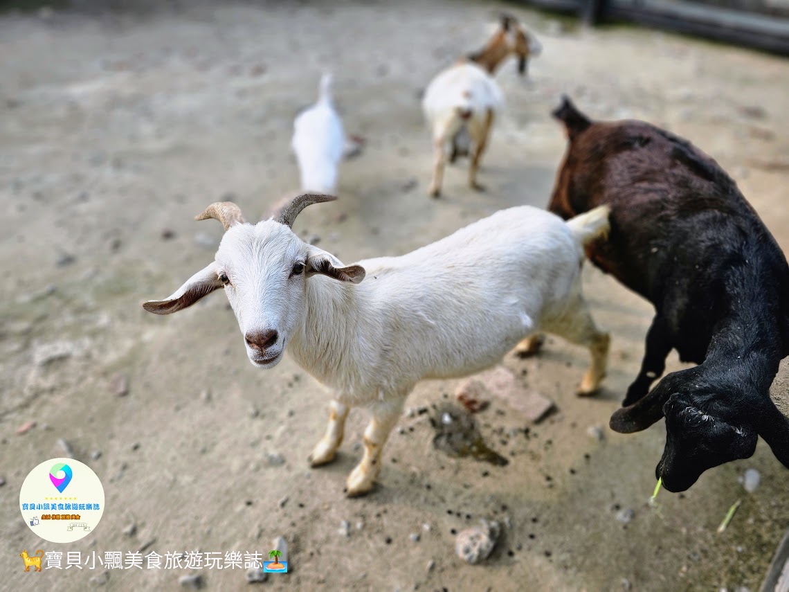 新竹香山廢物媽媽育兒農場親子互動樂園，寓教於樂的教育之旅！~