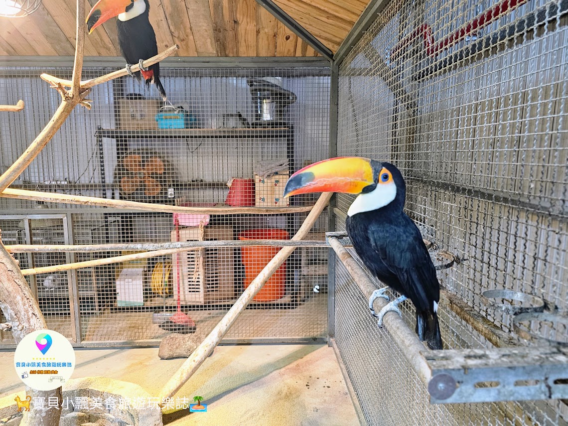 新竹香山廢物媽媽育兒農場親子互動樂園，寓教於樂的教育之旅！~