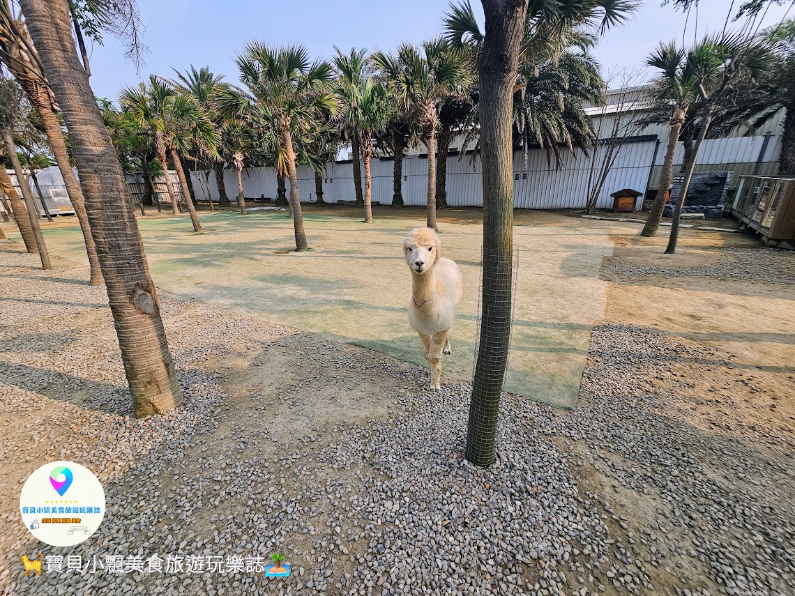 新竹香山廢物媽媽育兒農場親子互動樂園，寓教於樂的教育之旅！~