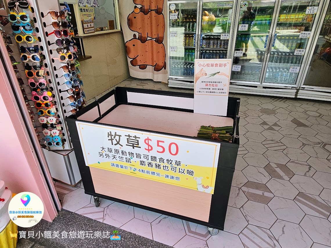 嘉義縣三隻小豬觀光農場親子放電首選，動物種類豐富的童話主題樂園！