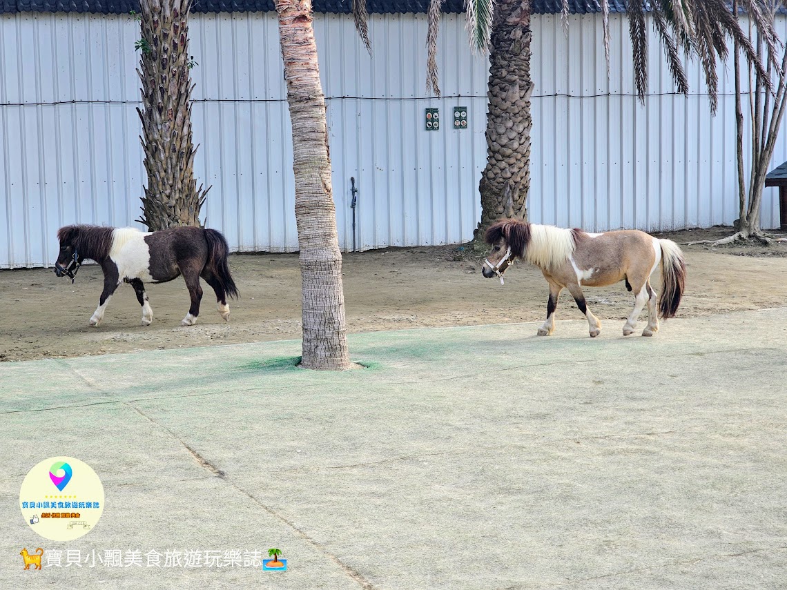 新竹香山廢物媽媽育兒農場親子互動樂園，寓教於樂的教育之旅！~