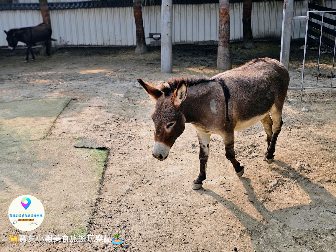 新竹香山廢物媽媽育兒農場親子互動樂園，寓教於樂的教育之旅！~